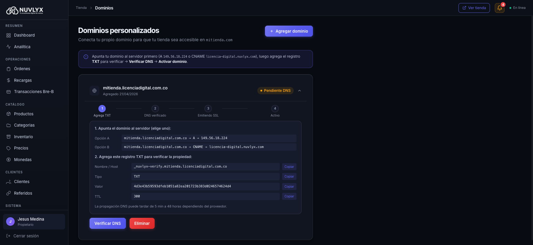 Pasos 1 a 4 con los registros DNS a copiar